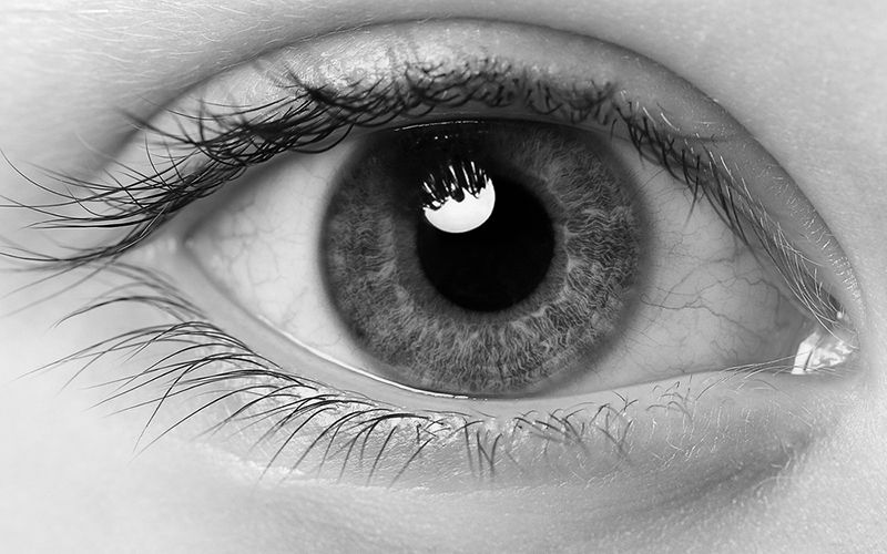 La santé visuelle : un capital à protéger