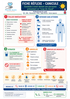 Fiche réflexe canicule