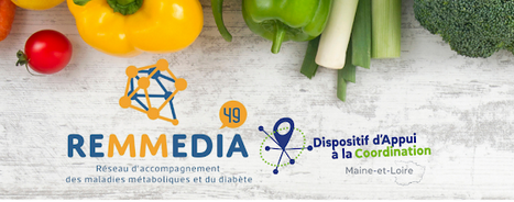 REMMEDIA